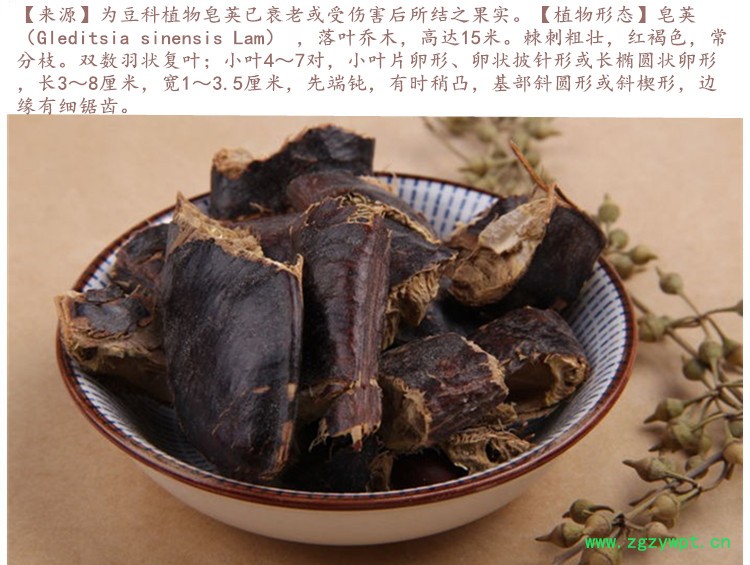 大皂角4.jpg