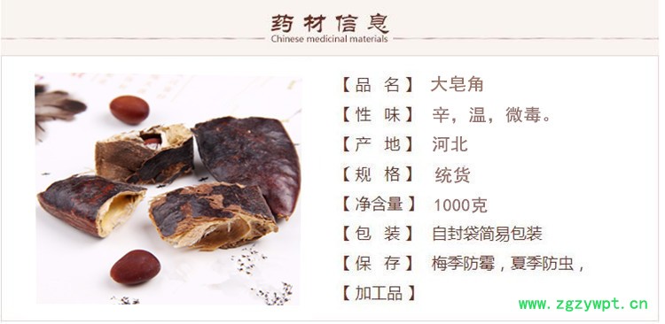 大皂角1.jpg