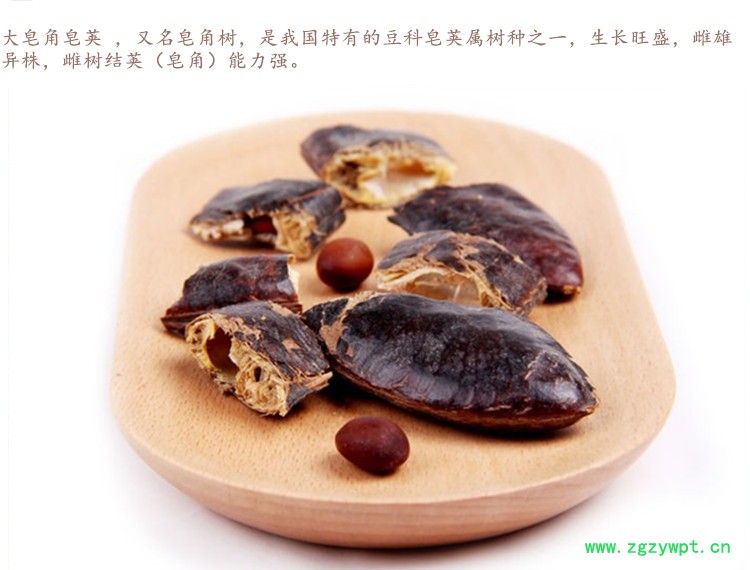 大皂角3.jpg