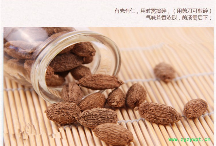 砂仁1.jpg