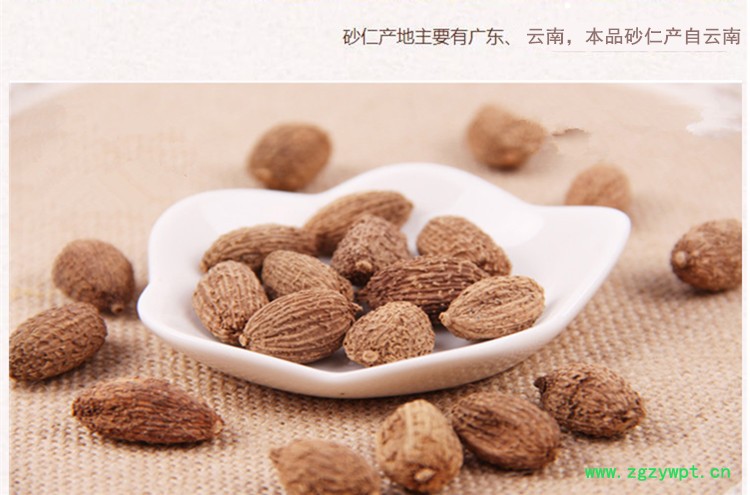 砂仁3.jpg