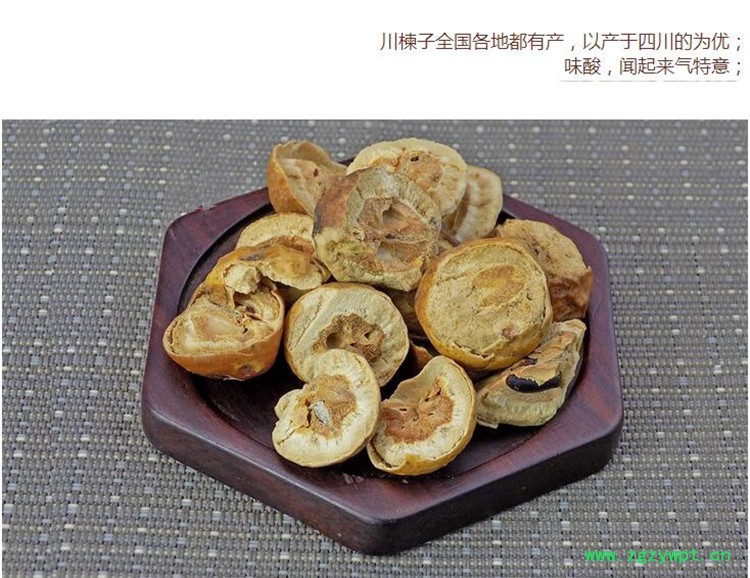 川楝3.jpg