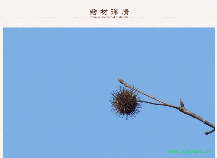 路路通2.jpg