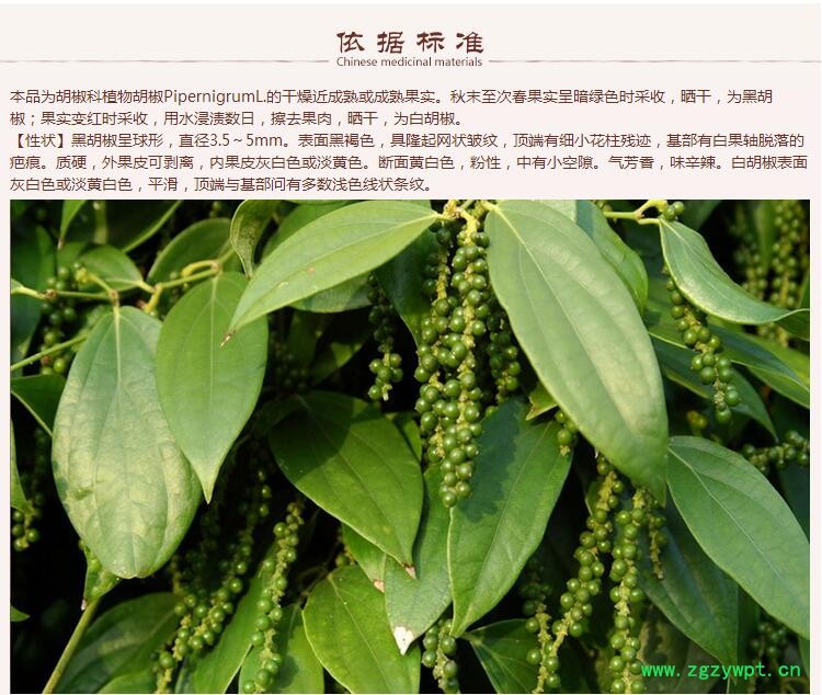 胡椒5.jpg