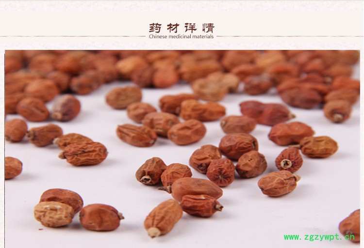 红豆蔻2.jpg