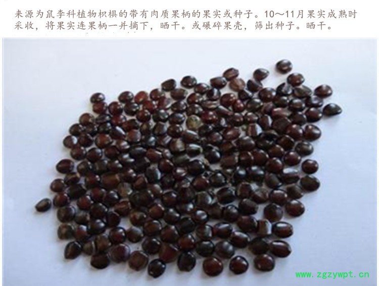 枳椇子4.jpg
