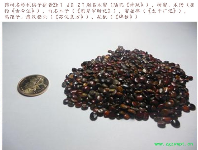 枳椇子3.jpg
