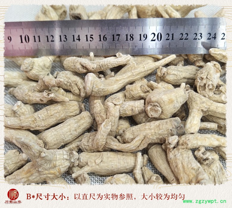 cstcssnguochanxiyanshenwuliuyuancong09.jpg