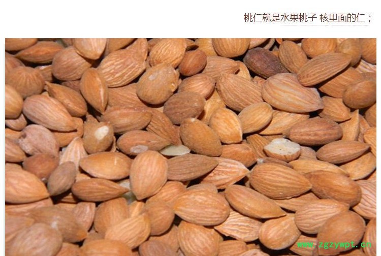 选货桃仁3.jpg
