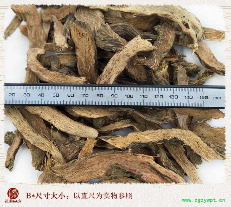 cstcssnqiannianjianpian08.jpg