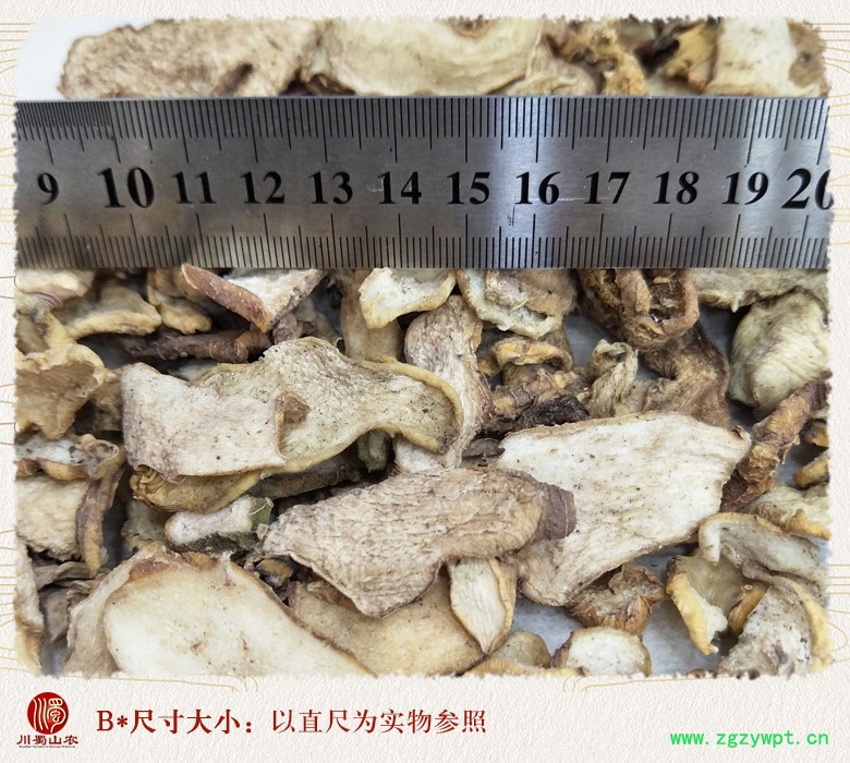 cstcssnhuangjingwuliupiantong09.jpg