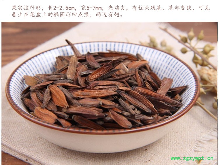 喜树果4.jpg