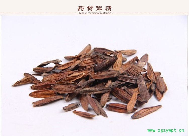 喜树果2.jpg