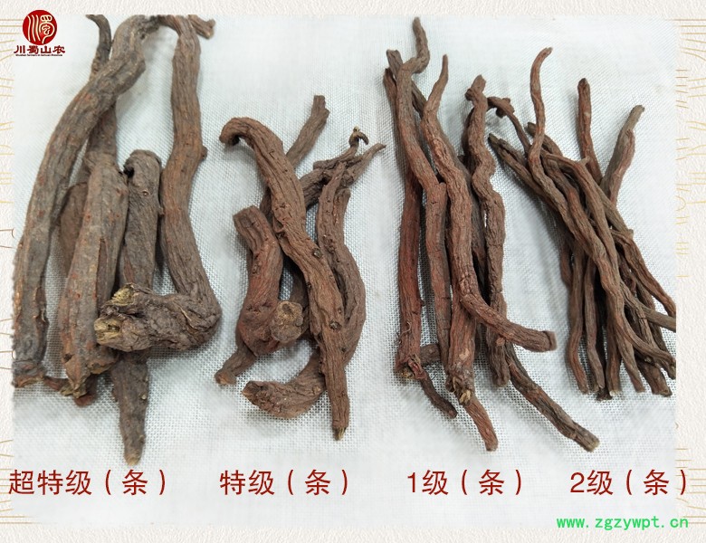cstcssnzjdanshen2ji01a.jpg