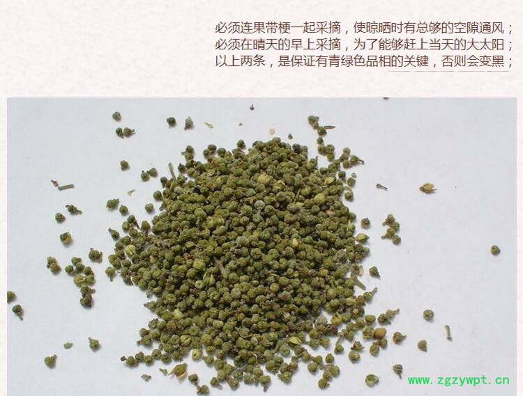 吴茱萸5.jpg