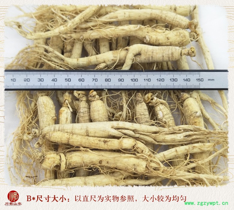 cstcssnrenshenzhengfu80zhi09.jpg