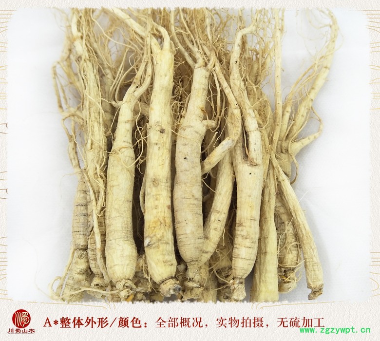 cstcssnrenshenzhengfu80zhi08.jpg