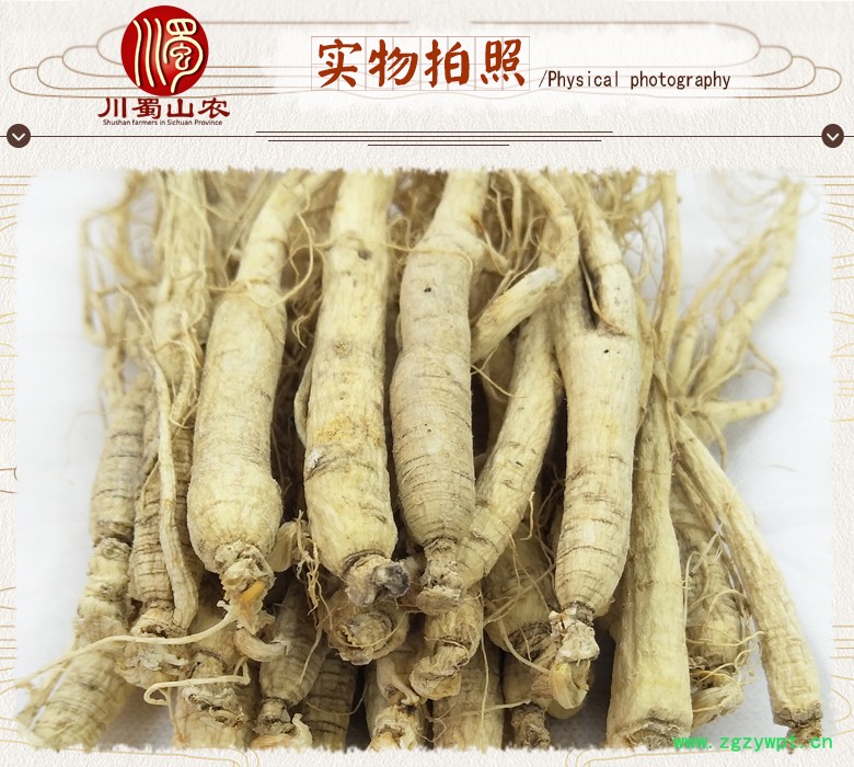 cstcssnrenshenzhengfu80zhi07.jpg