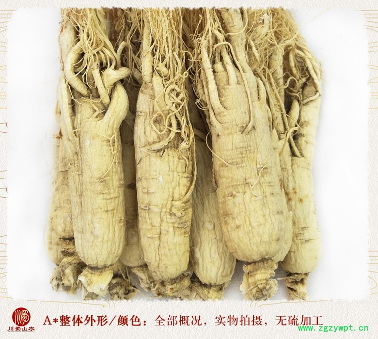 cstcssnrenshenzhengfu18zhi08.jpg