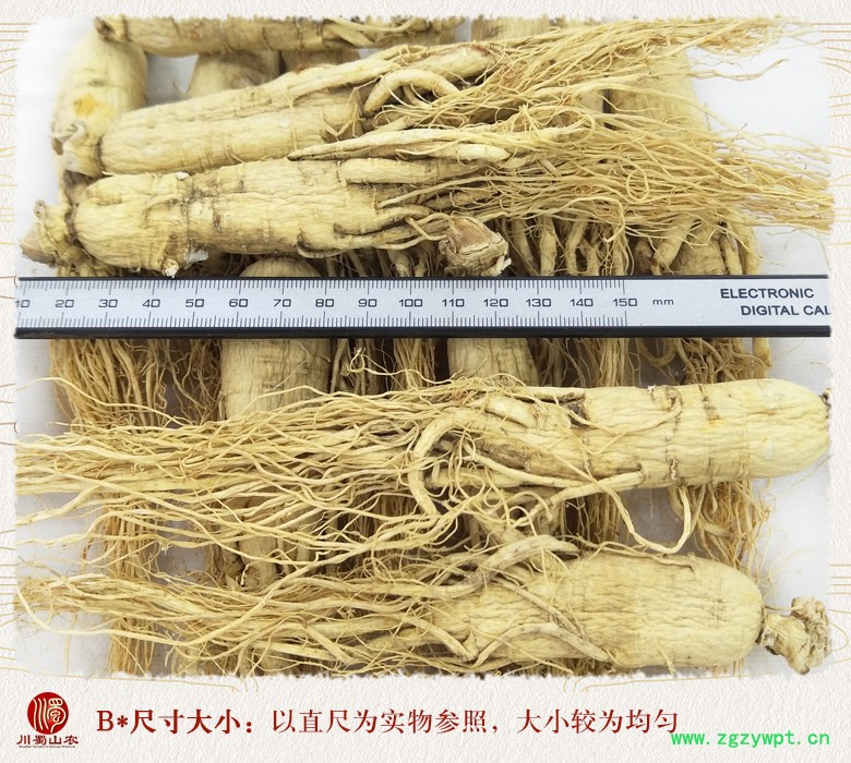 cstcssnrenshenzhengfu18zhi09.jpg