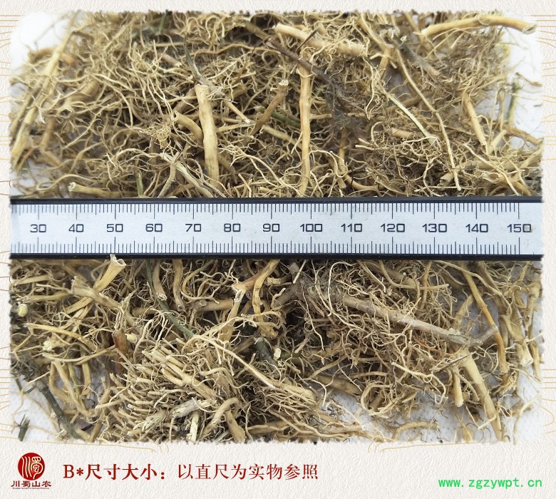 cstcssnbaiqiangentonghuo09.jpg
