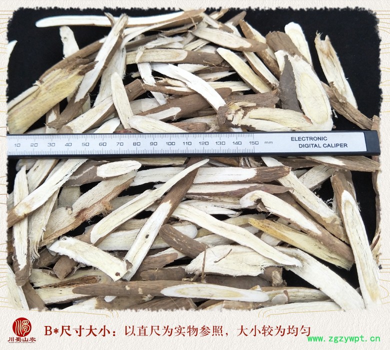 cstcssnlitanghuangqixiaopian09.jpg