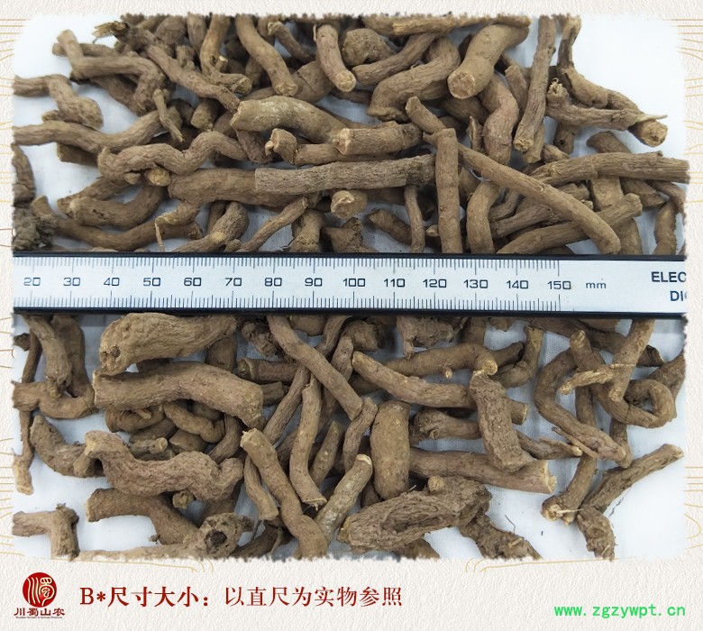 cstcssnqingmuxianggendagetonghuo09.jpg
