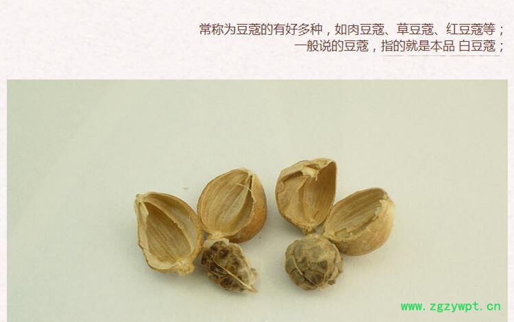 白豆池3.jpg