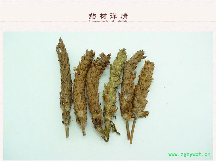 夏枯草2.jpg