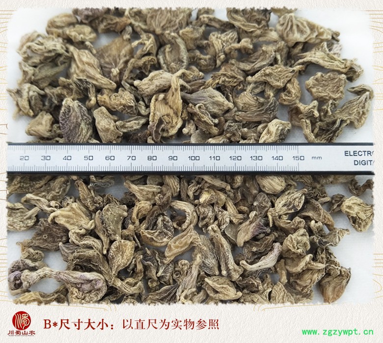 cstcssnshuibaijigezi09.jpg