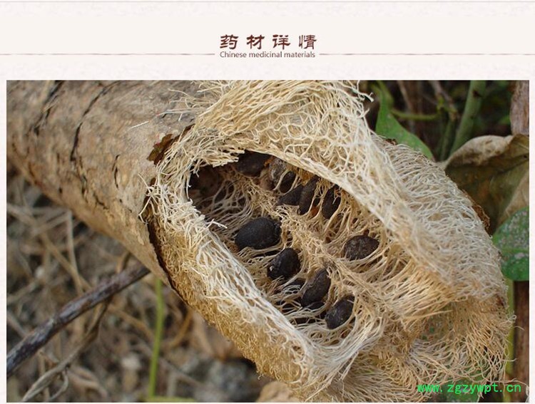 丝瓜络2.jpg