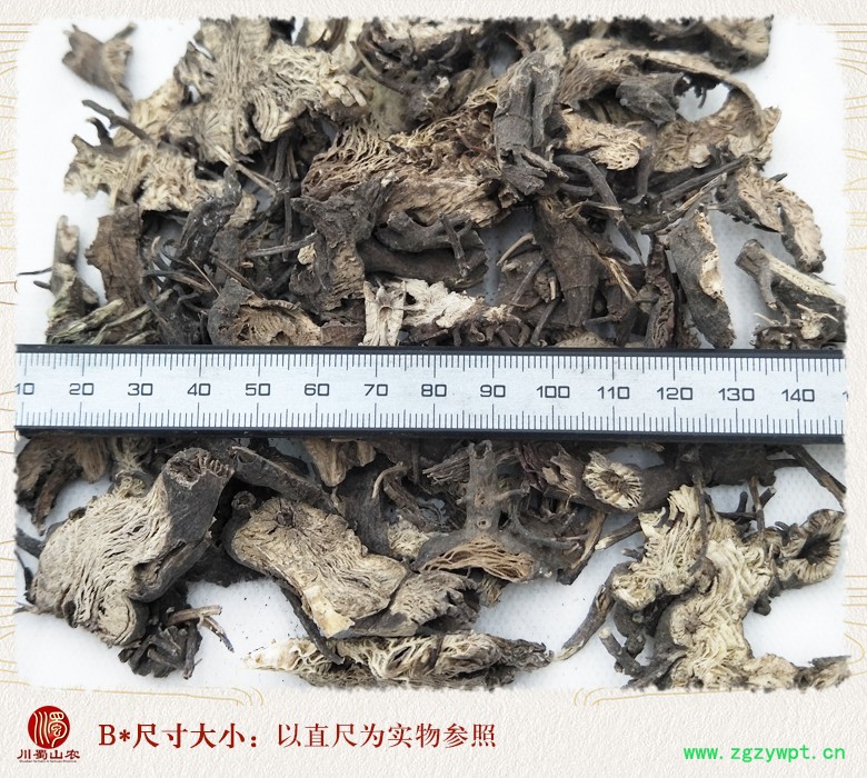 cstcssnshenmaqiepian010.jpg