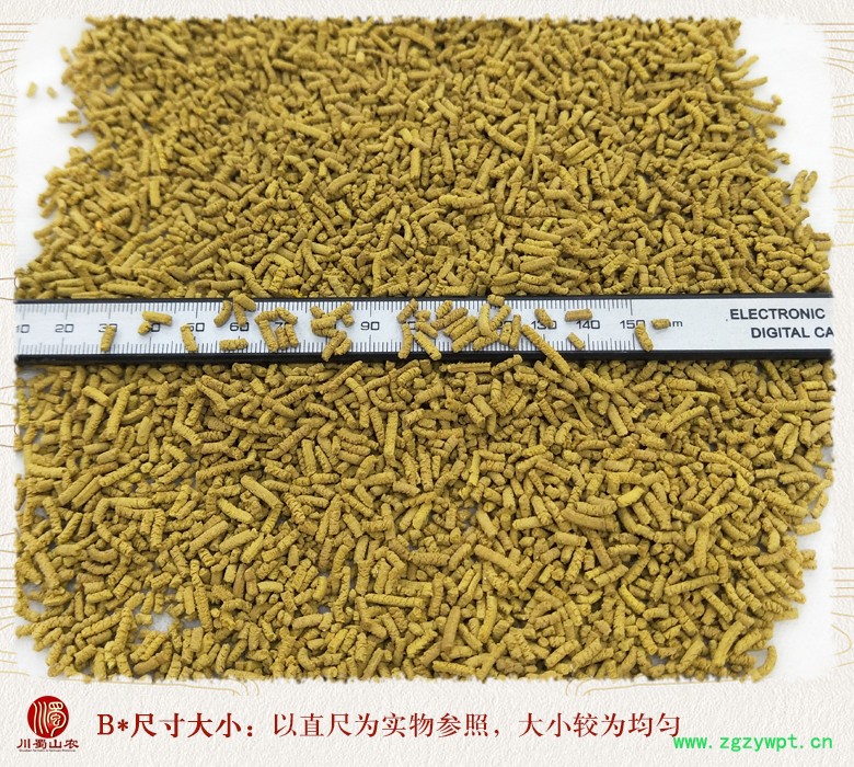 cstcssnkuqiaochajieduanxuanhuo09.jpg
