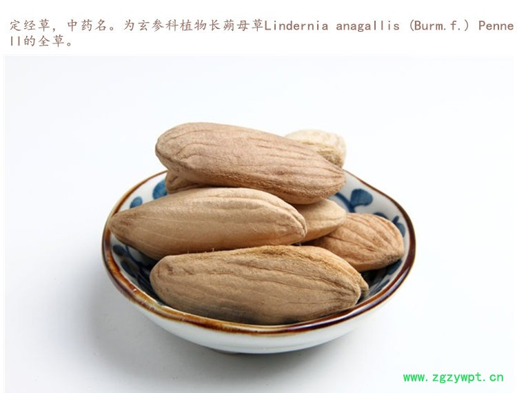 芒果核3.jpg