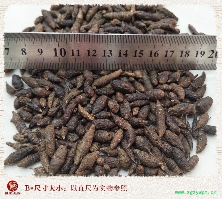 cstcssnxiangfuzitong09.jpg