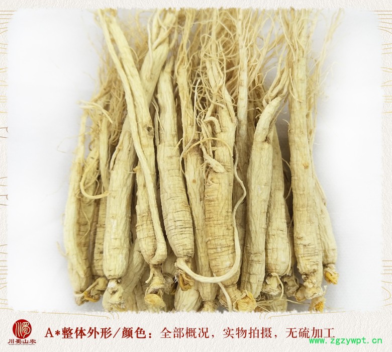 cstcssnrenshenzhengfu120zhi08.jpg