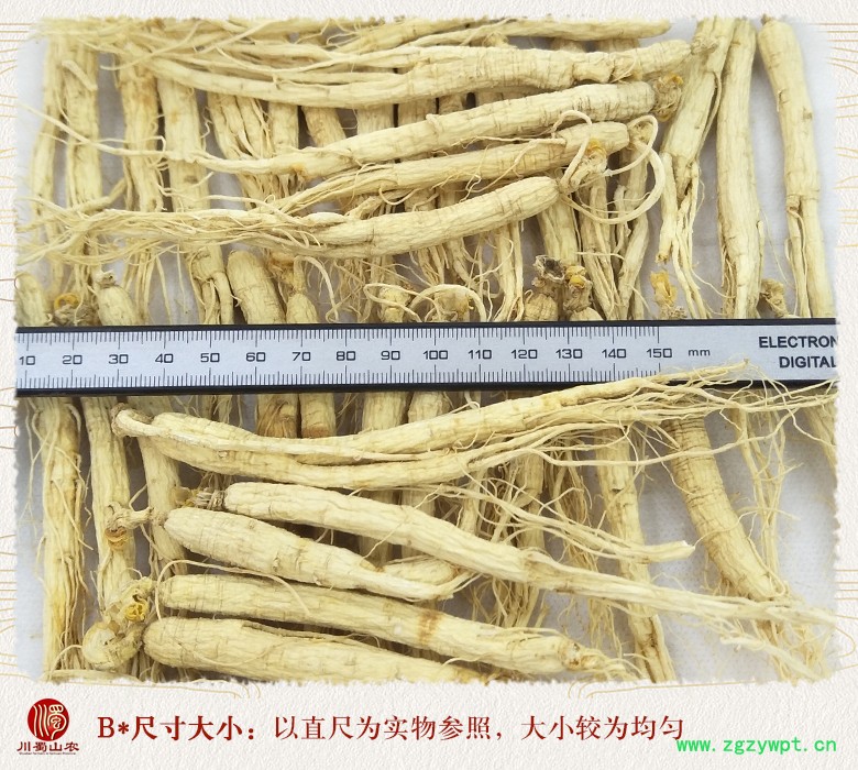 cstcssnrenshenzhengfu120zhi09.jpg