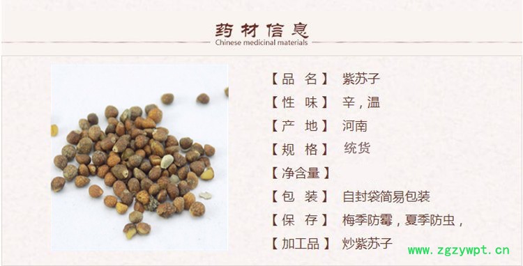 紫苏子1_副本.jpg