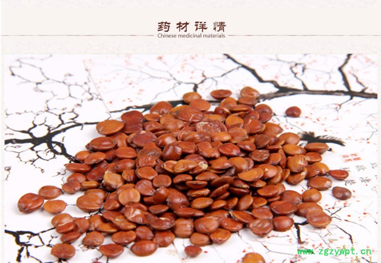 酸枣仁2.jpg