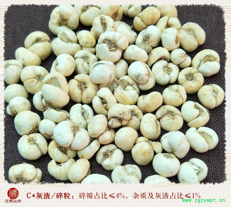 cstcssnzhebeimudabeiwuliutong010.jpg