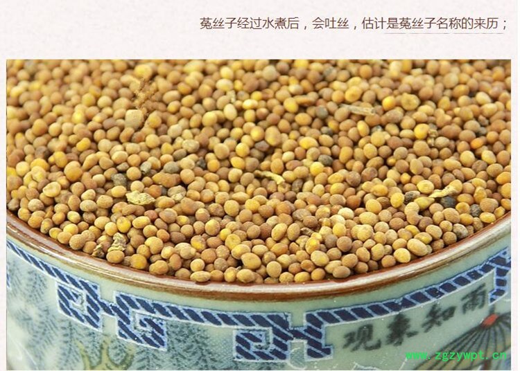 新菟丝子5.jpg