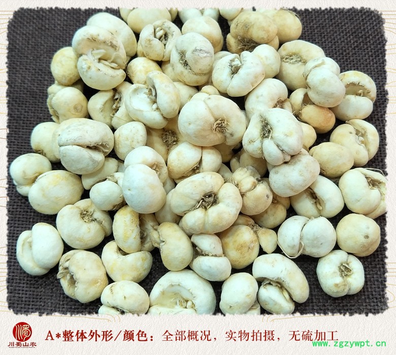 cstcssnzhebeimudabeiwuliutong08.jpg