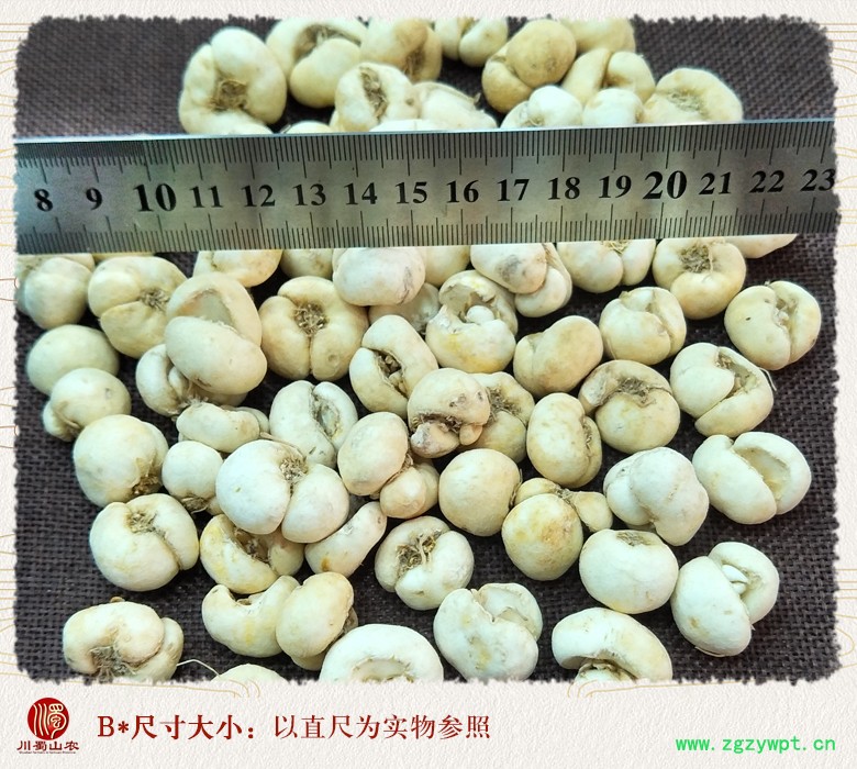 cstcssnzhebeimudabeiwuliutong09.jpg