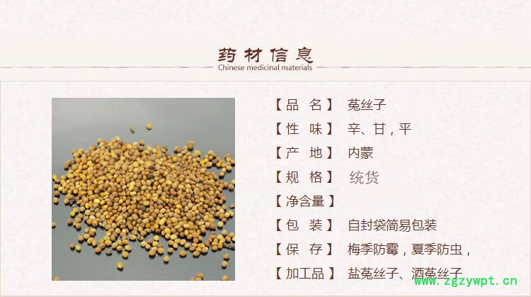 新菟丝子1_副本.jpg