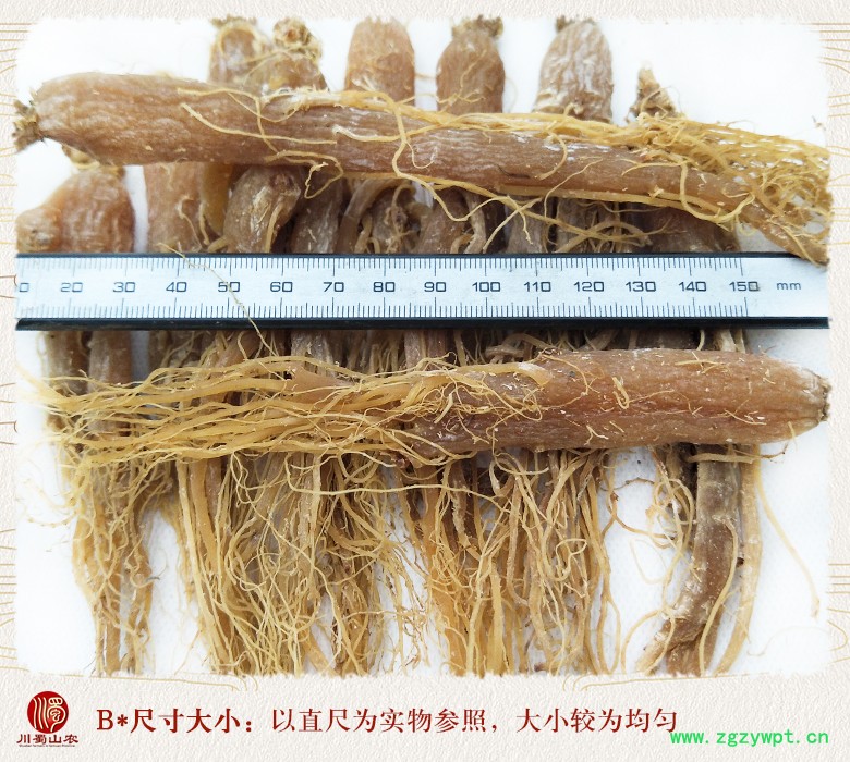 cstcssnditangdaixuhongshen25zhi010.jpg
