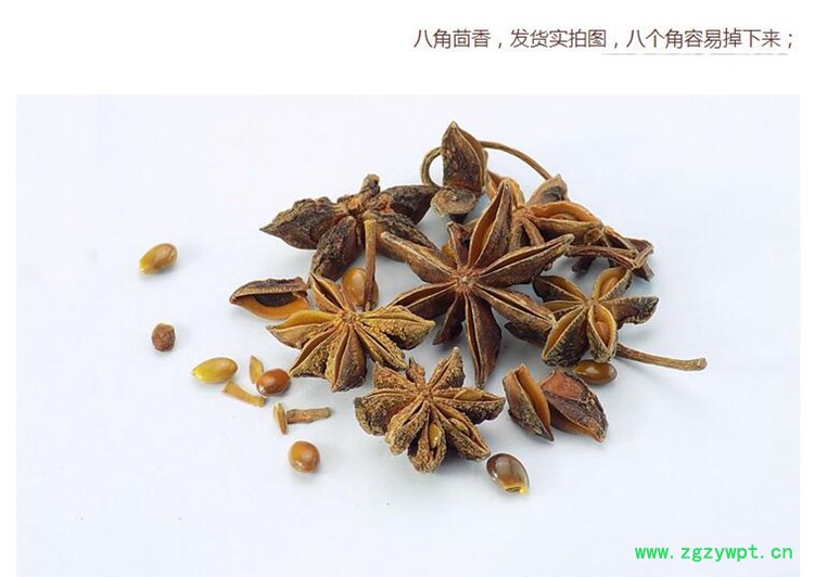 新八角4 (1).jpg