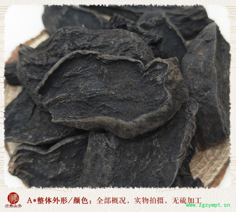 cstcssnheshouwutongpian08.jpg