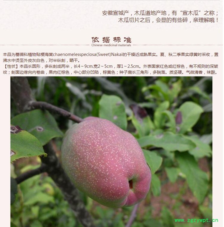 木瓜3.jpg