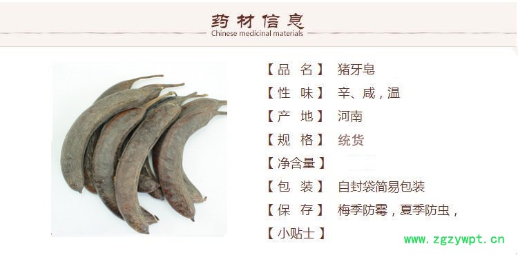 猪牙皂1_副本.jpg