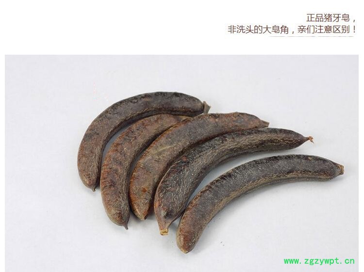 猪牙皂4.jpg